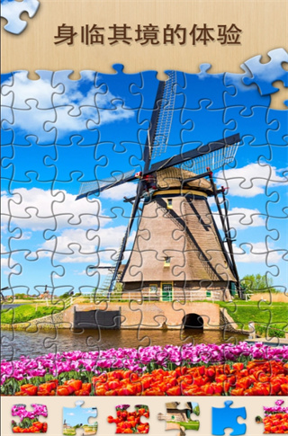拼图大师挑战截图(2)