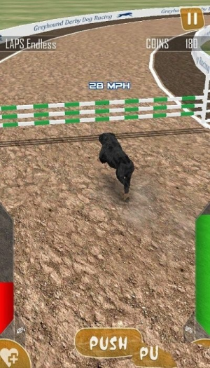 狗狗赛跑3d截图(2)