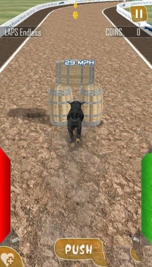 狗狗赛跑3d截图(1)