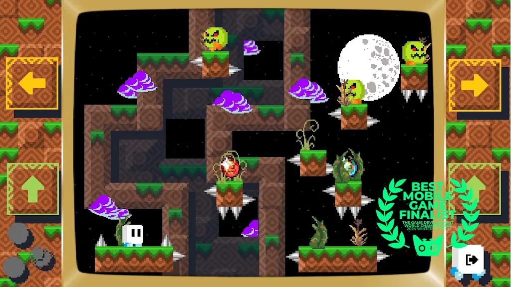 豆腐探秘截图(1)