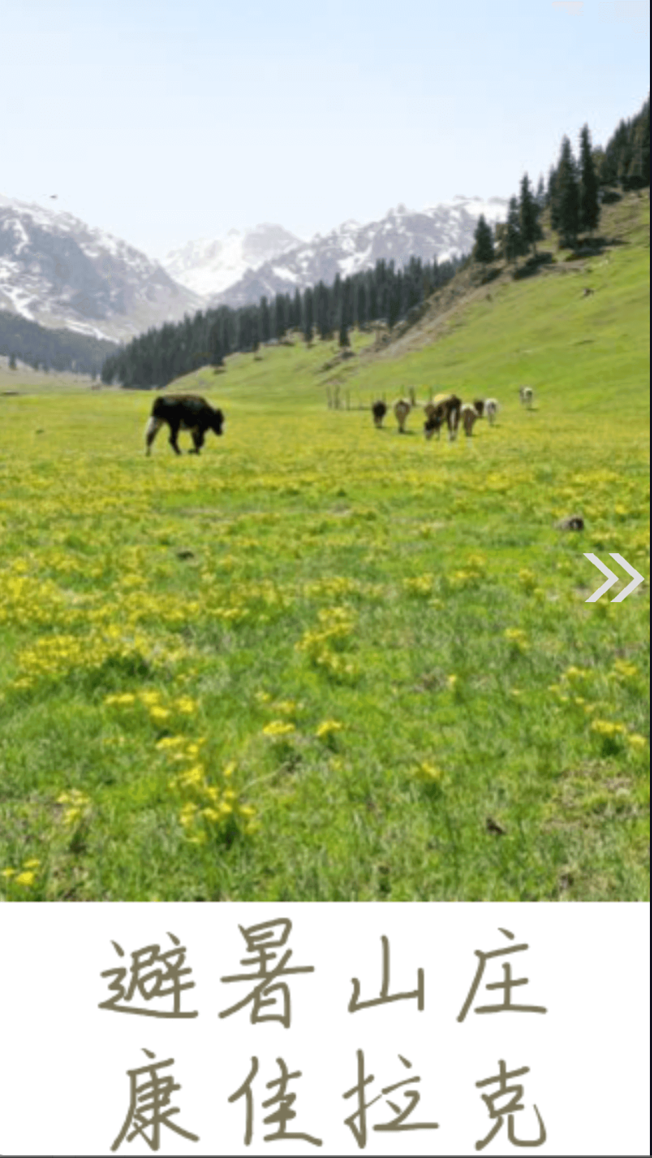 木垒好地方截图(2)