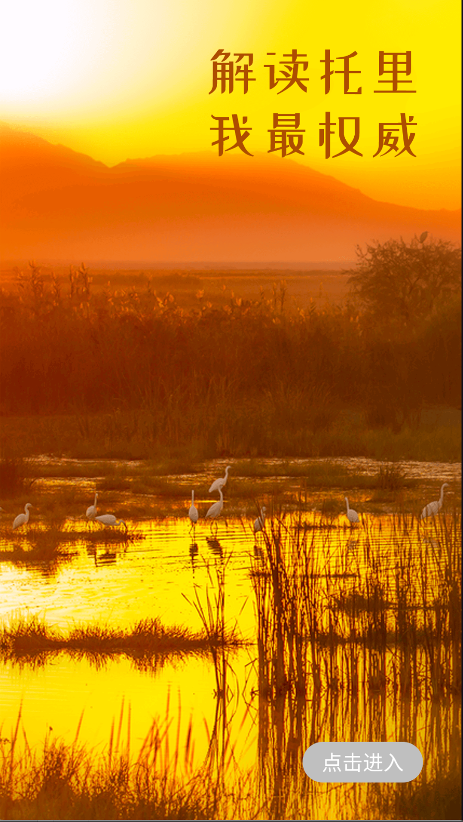 托里好地方截图(2)