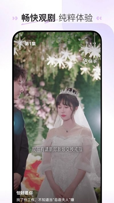 喜番免费短剧截图(1)