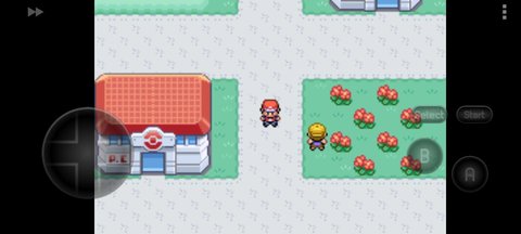 口袋妖怪叶绿截图(2)