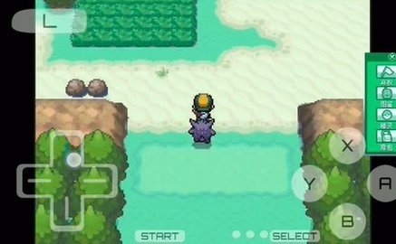 口袋妖怪魂银截图(2)