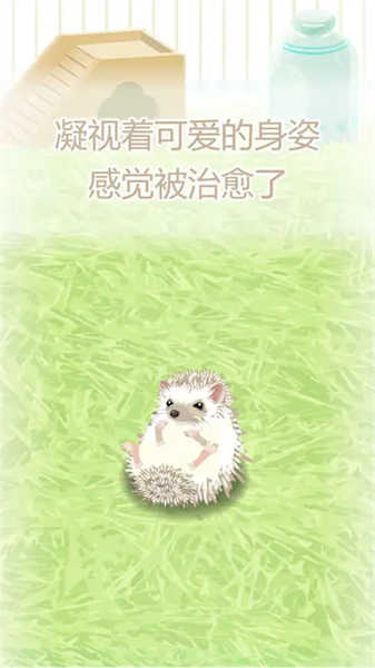 治愈的刺猬育成截图(2)