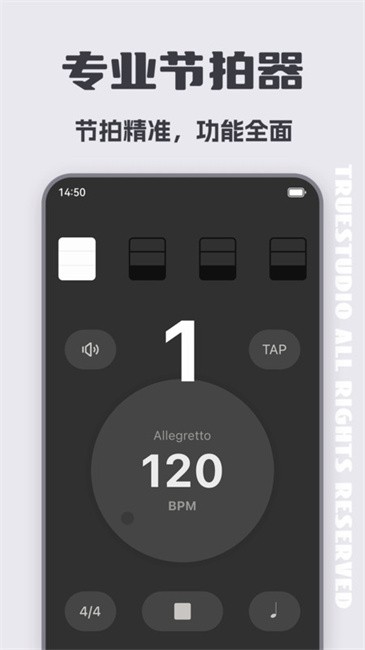 琵琶调音大师截图(1)