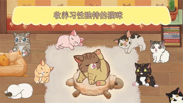 绒毛猫咖啡厅截图(1)