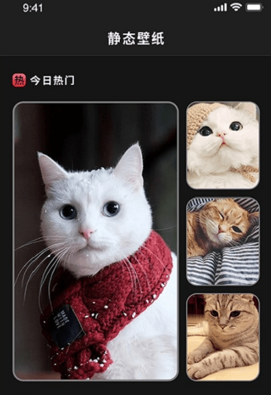 喵喵之家截图(3)