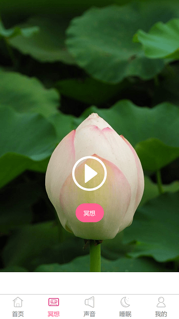 心兔音客高清大图