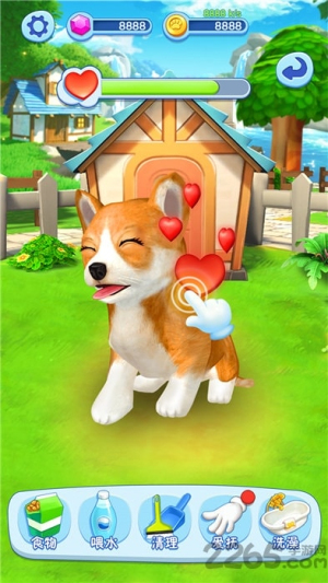 宠物大乐园截图(3)