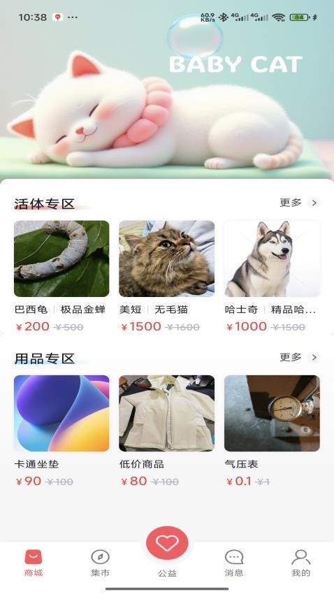 萌宠行星截图(4)