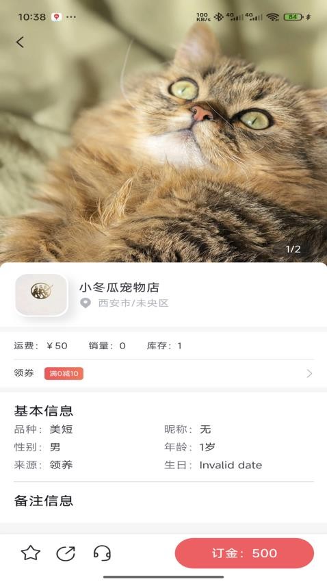 萌宠行星截图(3)