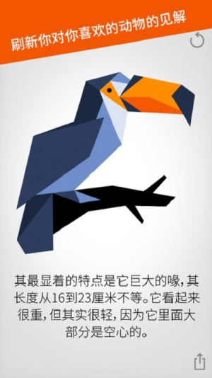 cardinal land截图(1)