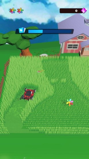 我家草坪出现了奇怪的图案截图(2)