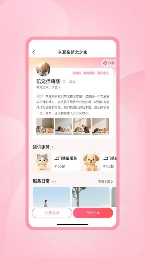 灰耳朵陪宠截图(4)