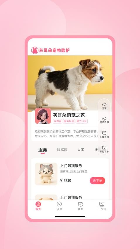 灰耳朵陪宠截图(1)