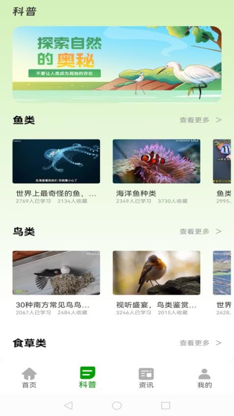 动物世界大全截图(1)