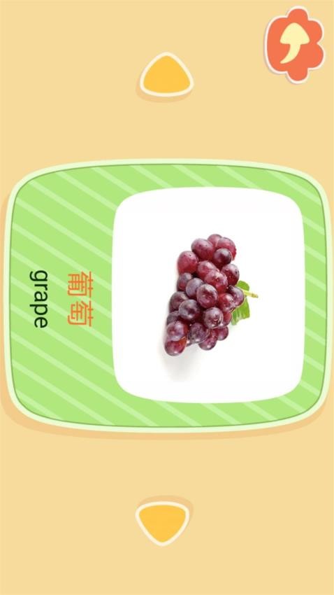 亲亲熊识字截图(1)