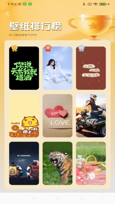 炫彩多多壁纸截图(3)