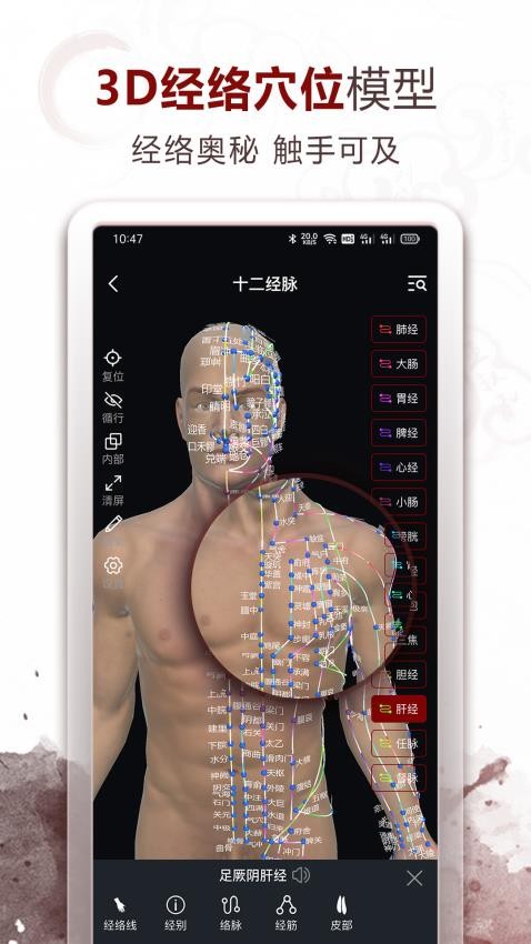 中医经络穴位截图(3)