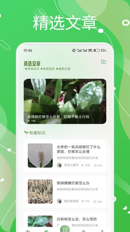 芙蓉花语截图(3)