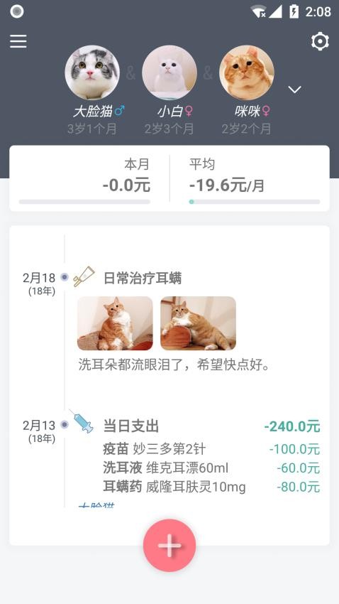 猫咪成长记截图(1)