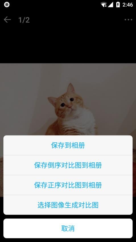 猫咪成长记截图(3)
