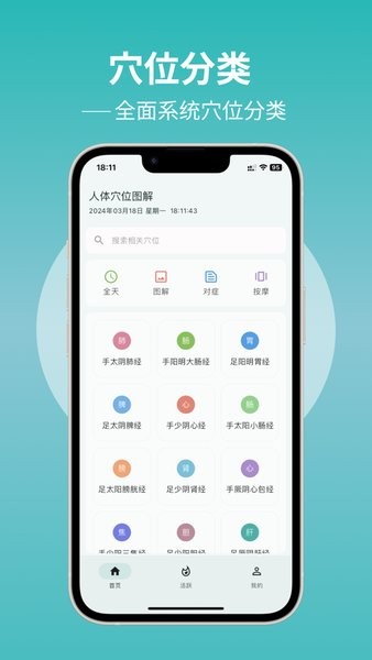 人体穴位图解截图(4)