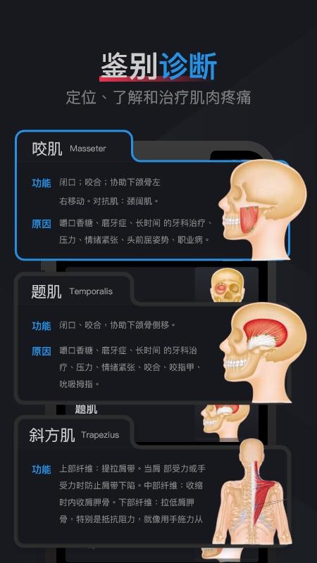 肌肉激痛点图谱截图(5)