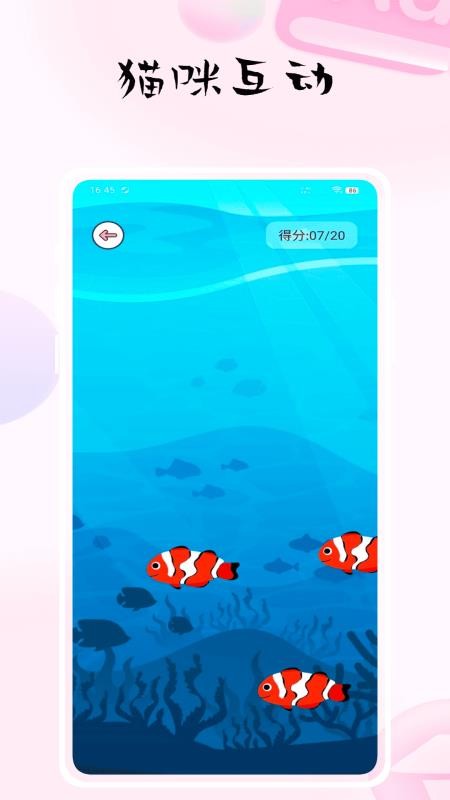 猫捉鱼截图(4)