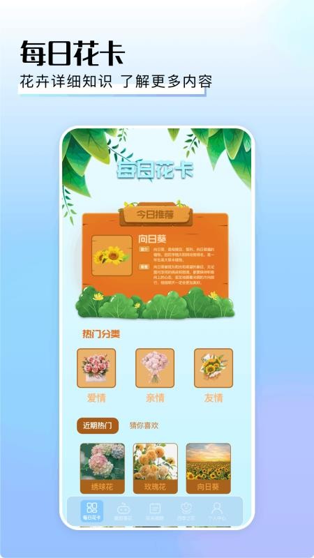 摆花齐放截图(3)