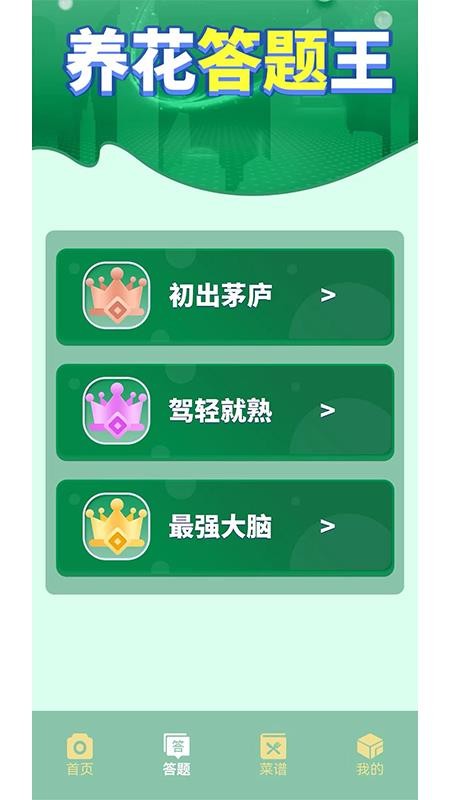 摆花齐放乐趣无限截图(3)