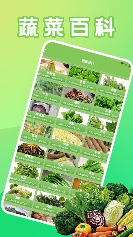 菜园大师好运截图(1)