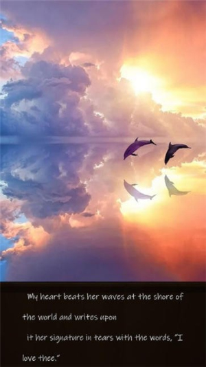 飞鸟消除拼图截图(2)