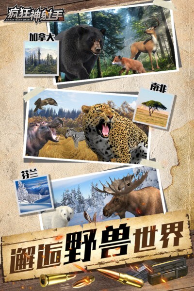 疯狂神射手截图(4)