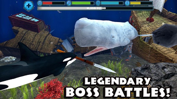 座头鲸模拟器截图(3)