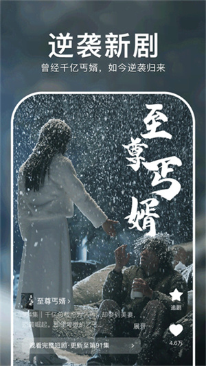 番茄短剧截图(3)