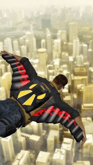 真实模拟飞行截图(1)