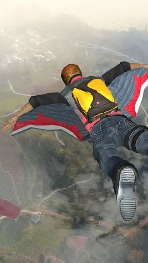 真实模拟飞行截图(3)