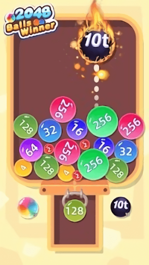 2048合并冠军截图(1)