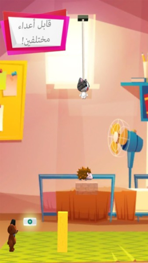 猫咪爱上口罩截图(4)