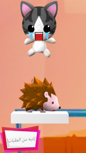 猫咪爱上口罩截图(3)