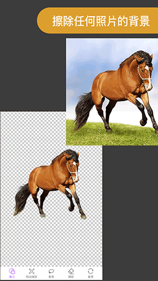 ProKnockout最新版截图(2)