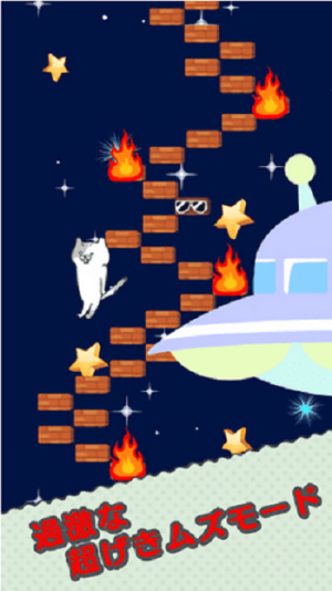 猫的台阶截图(2)