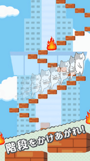 猫的台阶截图(1)