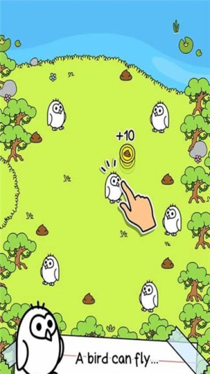 鸟类进化截图(1)