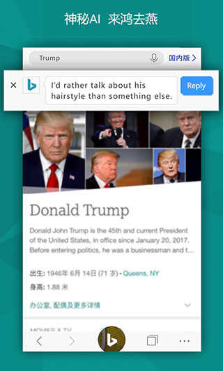 Bing浏览器国内版截图(5)