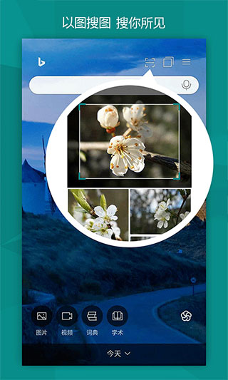 必应中文版截图(3)