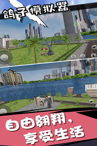 鸽子模拟器截图(1)